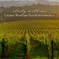 Study with Me: Calming Wineyard Nature Soundscape 2