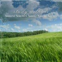 Study with Me: Ambient Serenity Amidst Nature Sounds