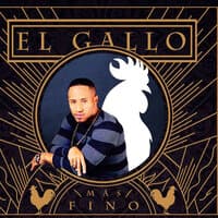 El Gallo Mas Fino