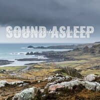 Sound Asleep: Consistent Daytime Rainfall in the Irish Countryside