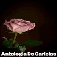 Antologia De Caricias