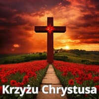 Krzyżu Chrystusa