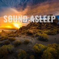 Sound Asleep: Arizona Desert Wind Sounds 2