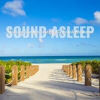 Sound Asleep: Relaxing Summertime Empty Beach Ambience