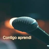 Contigo aprendi