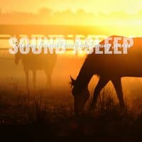 Sound Asleep: Relaxing Animal Farm Early Evening Sounds