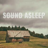 Sound Asleep: Relaxing Animal Farm Early Evening Sounds 2