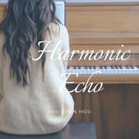 Harmonic Echo