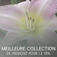 Meilleure collection de musique pour le spa – Profonde régénération et le repos, rem profond de sommeil induisant, zen massage thérapie