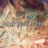 Homely Sounds For Sleep