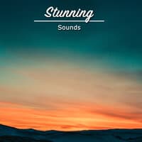 #1 Hour of Stunning Sounds for Yoga, Zen and Meditation