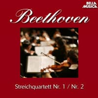 Streichquartett No. 2 in G Major, Op. 18: IV. Allegro molto quasi preto