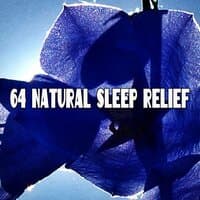 64 Natural Sleep Relief