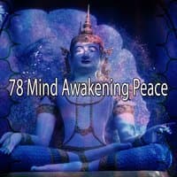 78 Mind Awakening Peace