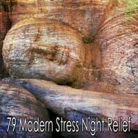 79 Modern Stress Night Relief