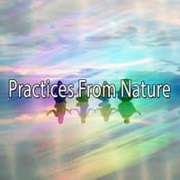 Practices From Nature