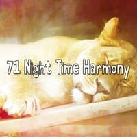 71 Night Time Harmony