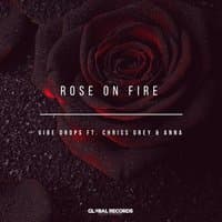 Rose on Fire