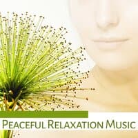 Peaceful Relaxation Music – Nature Sounds for Spa, Wellness, Deep Massage, Pure Mind, Relaxing Waves, Anti Stress Music