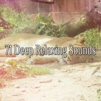 71 Deep Relaxing Sounds