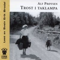 Trost I Taklampa