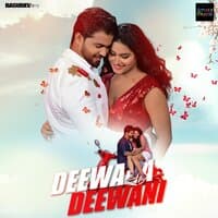 Deewana Deewani