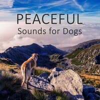 Peaceful Sounds for Dogs - Gentle Nature Sounds for Puppies & Cats, Calm Down Your Animal Companion