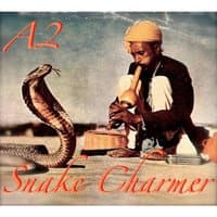 Snake Charmer