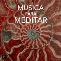 Musica para Meditar e Musica de Relax