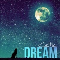 Celtic Dream – Stress Relief, Deep Sleep and Sensual Sounds, New Age for Insomnia, Massage Healing, Relaxation & Meditation, Home Spa