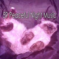 59 Peaceful Night Music