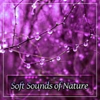 Soft Sounds of Nature – Sothing Sounds for Dreaming, Baby Calmness, Sleep My Baby, Sleep Aid, Relaxing Night