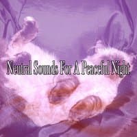 Neutral Sounds For A Peaceful Night