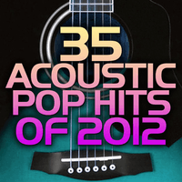 35 Acoustic Pop Hits of 2012