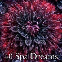 40 Spa Dreams