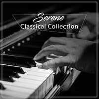 #21 Serene Classical Collection