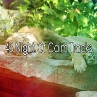 43 Night Of Calm Tracks