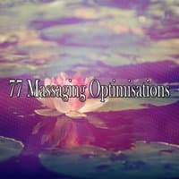 77 Massaging Optimisations