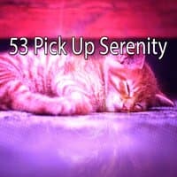 53 Pick up Serenity