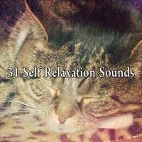 31 Self Relaxation Sounds