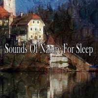 Sounds Of Nature For Sleep