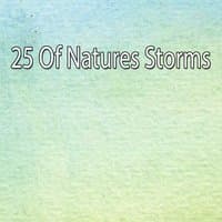 25 Of Natures Storms