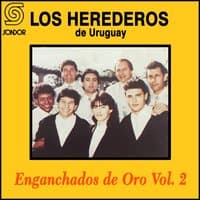 Enganchados de Oro, Vol. 2