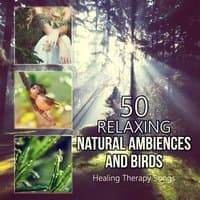 50 Relaxing Natural Ambiences and Birds: Healing Therapy Songs for Yoga Meditation, Music for Spa, Massage, Soothing Sounds for Sleep