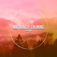 21 Canciones Naturalmente Calmantes para Terapia de Relajación