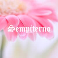 Sempiterno