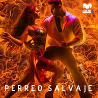 Perreo Salvaje