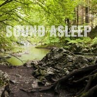 Sound Asleep: Cohesive Strong Forest River Sounds