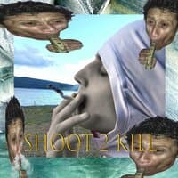 Shoot 2 Kill