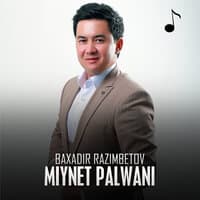 Miynet palwani